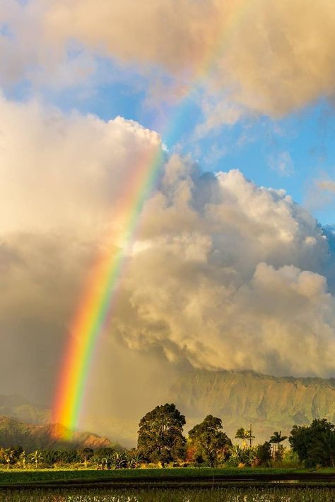 Rainbow / Arc-en-ciel / Image by lightsourcekauai (Lee Scott) from instagram Arc En Ciel Aesthetic, Ciel Aesthetic, Inktober 2024, Big Battle, Clear Sky, From Instagram, Fairy Tale, Good Vibes, Fairy Tales