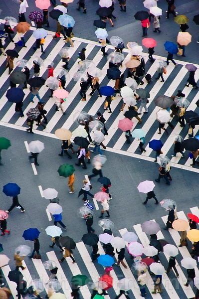 The Garden Of Words, Shibuya Crossing, Shibuya Tokyo, Kyushu, Snowdonia, Yokohama, Many People, Japanese Culture, Tokyo Japan