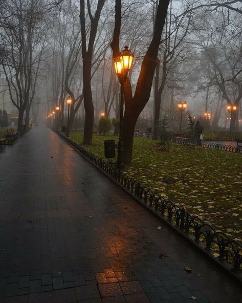 Dull Aesthetic, Ukraine Aesthetic, Your Wallpaper, Dark Autumn, Night Scenery, Walk In The Park, Dark Academia Aesthetic, Desktop Backgrounds, Seasons Of The Year