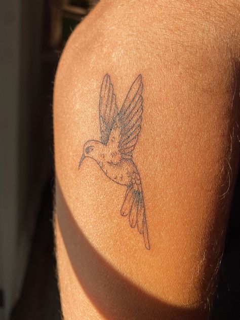 Fine Line Hummingbird, Fine Line Hummingbird Tattoo, Line Hummingbird, Swallow Tattoo, Hummingbird Tattoo, Fine Line Tattoos, Birds Tattoo, Tattoo Inspo, Art Aesthetic