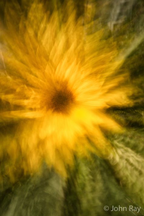 A Coreopsis bloom photographed using camera lens zoom burst. Redbubble Artist JohnRay27, #Coreopsis #Zoom Burst. Zoom In Photography, Zoom Burst Photography, Butterfly Zoomed In, Zoom Photography, Wildflower Close Up, Motion Blur Photography, Movement Photography, Blur Photography, Motion Blur