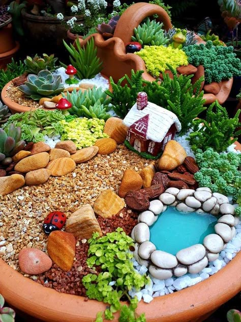 Fairy Garden Pots, Indoor Fairy Gardens, Fairy Garden Plants, Fairy Garden Furniture, Succulent Garden Design, Fairy Garden Designs, Fairy Garden Crafts, Succulent Garden Diy, Faeries Gardens