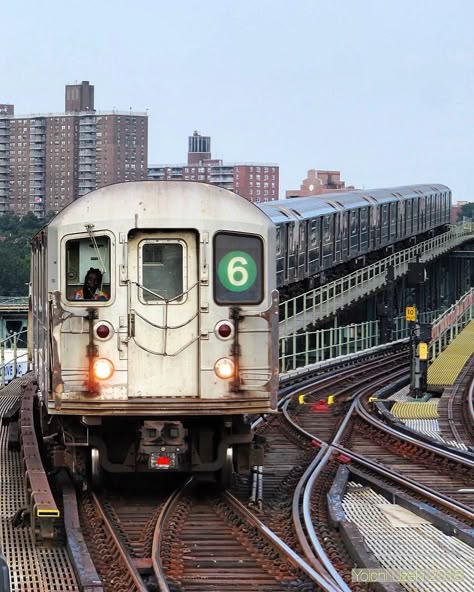 6 Train Nyc, Mta Train, Nyc Collage, 42 Dugg, Apocalyptic City, Mta Subway, Subway Car, Post Apocalyptic City, Nyc Train