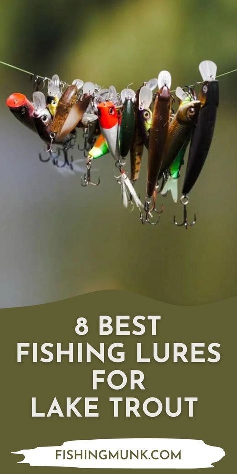 Discover the eight best fishing lures for lake trout. A majority of the trout lures mimic the appearance of insects - which is a trout delicacy. The lures have an almost realistic look and often appear as a flying bug trapped on the surface of the lake water. Trout are known to be finicky feeders which means that the more realistic your lures and bait look, the better your chances of getting a bite. Best Trout Lures, Lake Trout Fishing, Best Fishing Lures, Trout Fishing Lures, Lake Trout, Trophy Fish, Trout Fishing Tips, Trout Bait, Fishing For Beginners