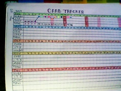 Bullet Journal page "Carb Tracker" I went off low carb when I moved here and the weight flowed back on now I'm back counting carbs and headed down again. Miss those sweet treats. Sundays are free days! Bujo Calorie Tracker, Carb Tracker, Food Tracker Bullet Journal, Calorie Tracker Bullet Journal, Bullet Journal Weight Tracker, Exercise Tracker Bullet Journal, Tracker Bullet Journal, Counting Carbs, Bullet Journal Page