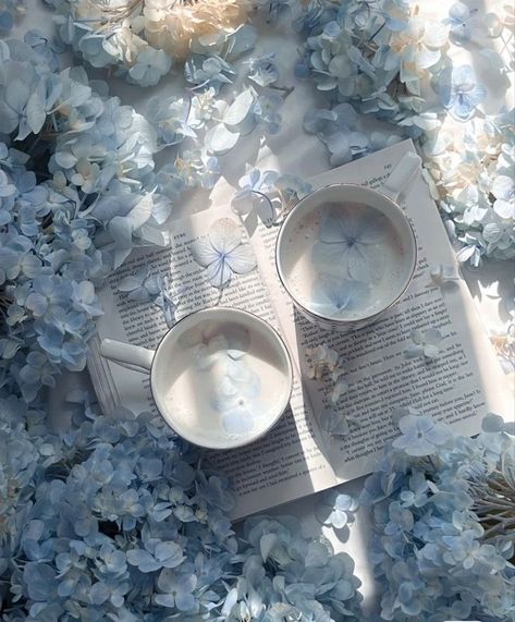 Blue Calming Aesthetic, Hydrangea Blue Aesthetic, Light Blue Aesthetic Flowers, Blue Tea Aesthetic, Blue Hydrangea Aesthetic, Powder Blue Aesthetic, Hydrangeas Aesthetic, Blue Hydrangea Wallpaper, Dusty Blue Aesthetic