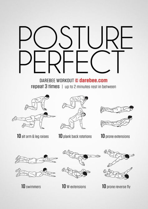 Posture Perfect will help you achieve a better posture and greater body control. #acidrefluxworkout Bolesti Chrbta, Muscle Abdominal, Posture Exercises, Perfect Posture, Muscles In Your Body, Trening Fitness, Better Posture, Stretching Exercises, Trening Abs