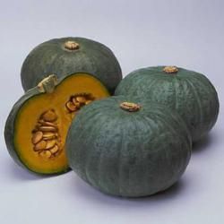 Kuri Stew, Pueblo Style Kuri Squash Recipe, Japanese Winter, Squash Seeds, Kabocha Squash, Asian Vegetables, Cucumber Seeds, Squash Recipe, Asian Garden, Seed Company