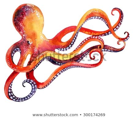 Octopus Images, Art Octopus, Octopus Drawing, Octopus Painting, Octopus Tattoo Design, Octopus Tattoos, Red Octopus, Cute Octopus, Watercolor Fish