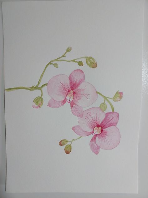 pintura em aquarela de uma orquídea rosa Orchid Watercolor Painting, Orchid Watercolor, Painting Simple, Painting Inspo, Art Drawings Sketches Creative, Flower Art Painting, Art Drawings Sketches, Watercolour Painting, Drawing Sketches