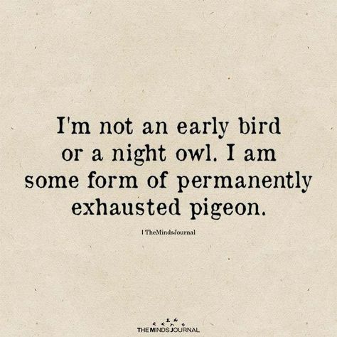 I'm Not An Early Bird Or A Night Owl Bird Quotes Funny, Early Bird Quotes, Quotes Night, Owl Quotes, Sleep Quotes, Bird Quotes, Cute Bird, Clever Quotes, Night Owl