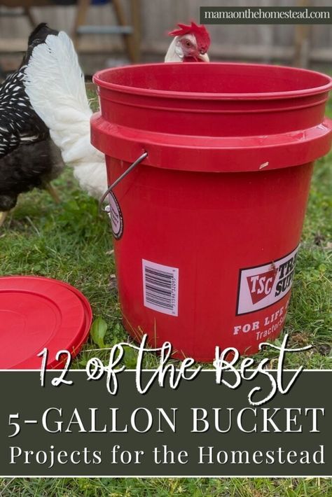 Bucket Farming, Hog Waterer, Growing Strawberries Vertically, Chicken Waterer Diy, Red Wiggler Worms, Food Grade Buckets, Five Gallon Bucket, Compost Bin Diy, Home Made Simple