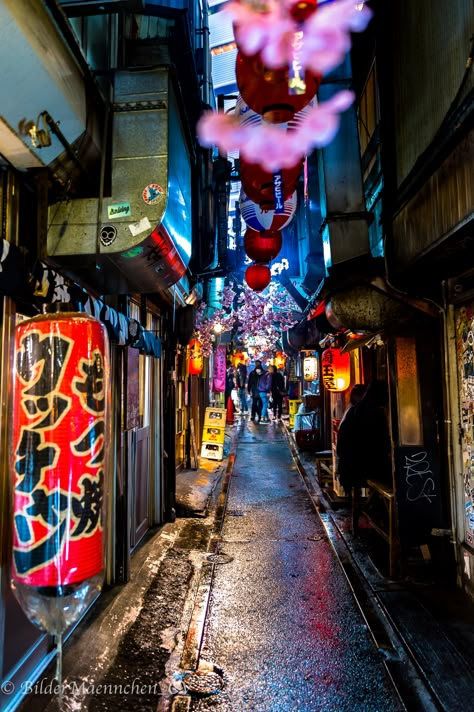 Golden Gai Tokyo, Golden Gai Shinjuku, Japan Alleyway, Tokyo Alleyway, Japanese Alleyway, Tokyo Market, Yakitori Restaurant, Tokyo Things To Do, Golden Gai