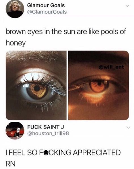 Brown Eyes Facts, Brown Eyes In The Sun, Brown Eye Quotes, Brown Eyes Aesthetic, Eye Facts, Pretty Brown Eyes, Eye Quotes, Brown Eyed Girls, Dark Brown Eyes