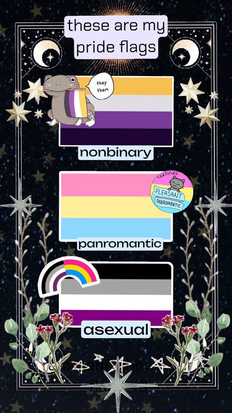 me :) #nonbinary #asexual #panromantic #lgbtq+ #pride #queer Panromantic Asexual, Asexual Pride, Taste The Rainbow, Lgbtq Pride, Pride Flags, Screen, Funny, Quotes, Quick Saves