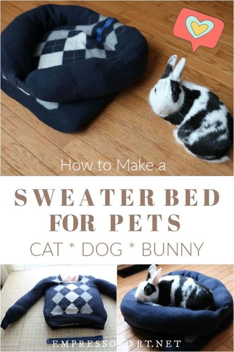 Homemade Rabbit Toys, Cats And Bunnies, Bunny Beds, Spotted Cats, Bed For Cats, Diy Pet Bed, Rabbit Bedding, Bed For Dogs, Pet Bunny Rabbits