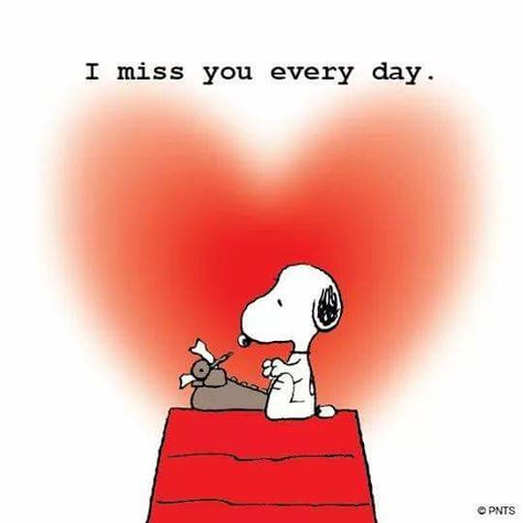 I miss you every day. (Snoopy) Charlie Brown Quotes, I Miss You Everyday, Peanut Gang, Snoopy Funny, Snoopy Images, Peanuts Cartoon, Snoopy Wallpaper, Snoopy Quotes, Snoopy Pictures