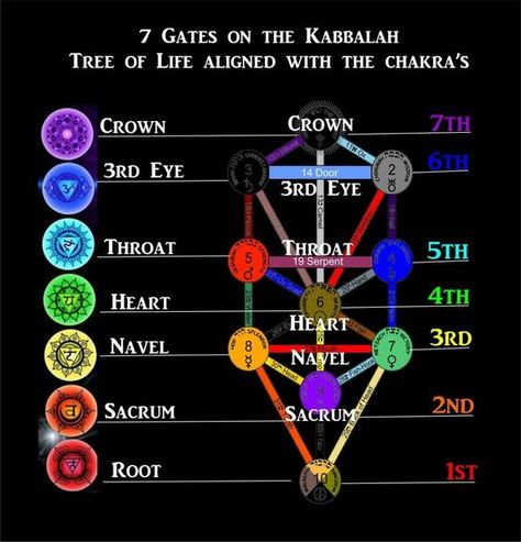 7 Gates On The Kabbalah Tree Of Life Aligned With The Chakra's Tree Of Life Meaning, Chakra Chart, Kemetic Spirituality, Chakra Tree, Life Meaning, The 7 Chakras, Sacred Science, Sacred Geometry Symbols, Alchemy Symbols