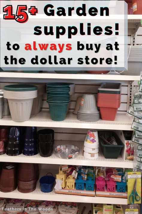 Display of  gardening supplies in the dollar store Dollar Tree Gardening, Dollar Tree Garden, Seed Starting Indoors, When To Start Seeds Indoors, When To Start Seeds, Indoor Gardening Supplies, Start Seeds Indoors, Frugal Gardening, Garden Prepping