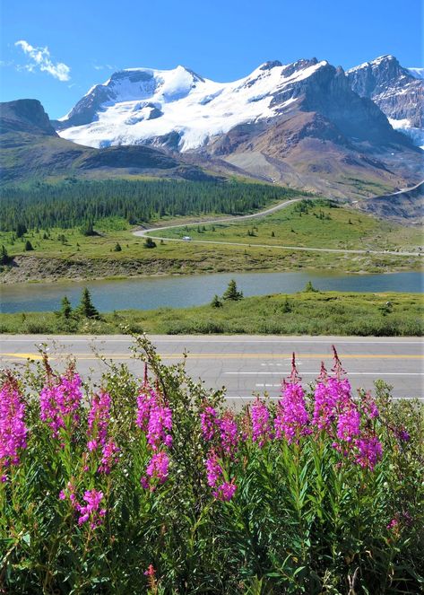 Athabasca Glacier-Canada. - Postcards from Paradise Camping Images, Flower Mountain, White Sky, Plant Flower, Wonders Of The World, Beautiful Nature, Columbia, Paradise, Camping