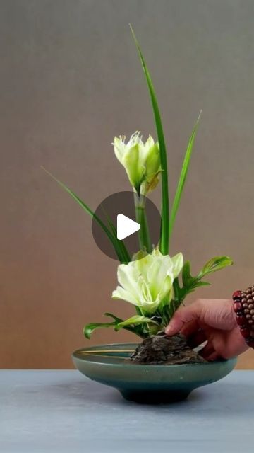 Seeds Connect on Instagram: "✨🌸🌷 #flowerarrangement #art #flower #florist #trendingvideo #DIY #tiktiok" Easy Flower Arrangements Diy Simple, Modern Ikebana Flower Arrangement, Diy Ikebana, Unusual Flower Arrangements, Cheap Flower Arrangements, Easy Flower Arrangements Diy, Small Flower Arrangements, Modern Floral Design, Unique Flower Arrangements