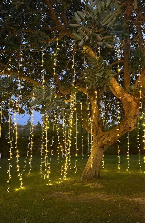 Lit Up Trees Wedding, Indian Wedding Lights Decor, Lights In The Woods, Fairy Tail Garden, Decorative Solar Garden Lights, Fairy Lights In Trees, Orange And Pink Wedding, Outdoor Country Wedding, Tree With Lights