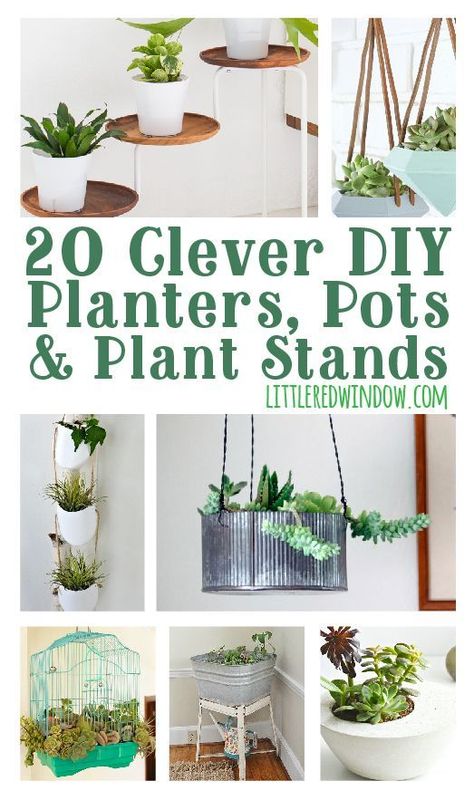 Diy Gifts Sewing, Diy Planters Pots, Garden Planters Pots, Diy Plant Stand, Plant Stands, Diy Planters, Diy Plants, Indoor Gardening, Cactus Y Suculentas