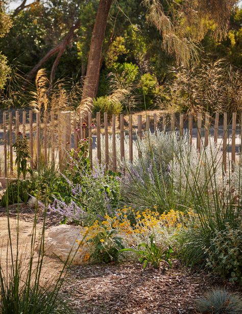 Native Landscaping, Australian Garden Design, Coastal Garden, Australian Native Garden, Front Garden Landscape, Australian Garden, Gravel Garden, Australian Native Plants, Coastal Gardens