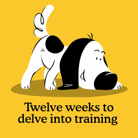 12-Week Puppy Training Schedule - Zigzag Puppy Schedule, Puppy Training Schedule, Puppy Bag, Puppy Socialization, Dog Commands, Sleeping A Lot, Puppy Proofing, Sheep Breeds, Dog Smells