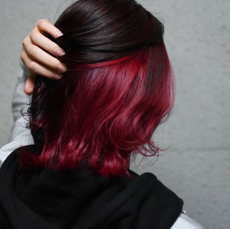 Under Hair Dye, Underdye Hair, Under Hair Color, Hair Dyed Underneath, Hidden Hair Color, Underlights Hair, Hair Color Underneath, Peekaboo Hair, Red Hair Inspo