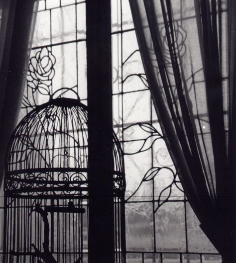 Bird Cage by ~Farrago on deviantART The Caged Bird Sings, Miss Peregrines Home For Peculiar, Peculiar Children, The Addams Family, Sweeney Todd, Southern Gothic, A Series Of Unfortunate Events, Bird Cages, Victorian Gothic