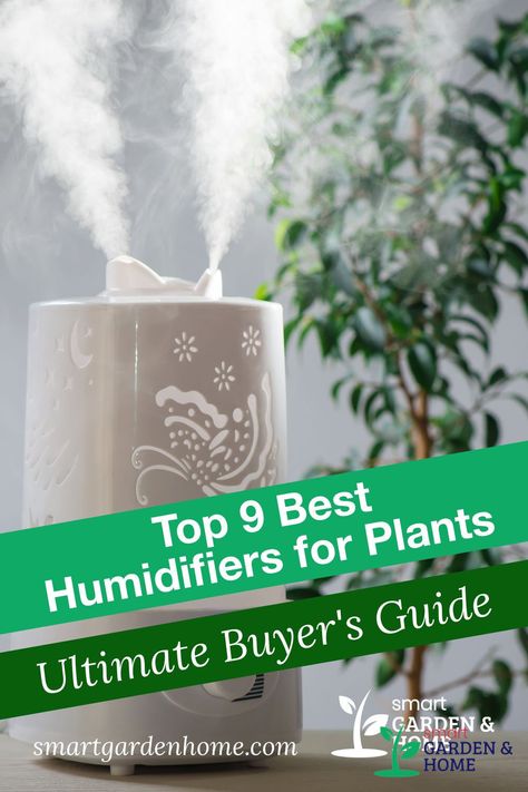 Humidifier For Plants, Indoor Gardening Supplies, Small Humidifier, Best Humidifier, Indoor Greenhouse, Smart Garden, Healthy Shopping, Indoor Gardens, Humidifiers