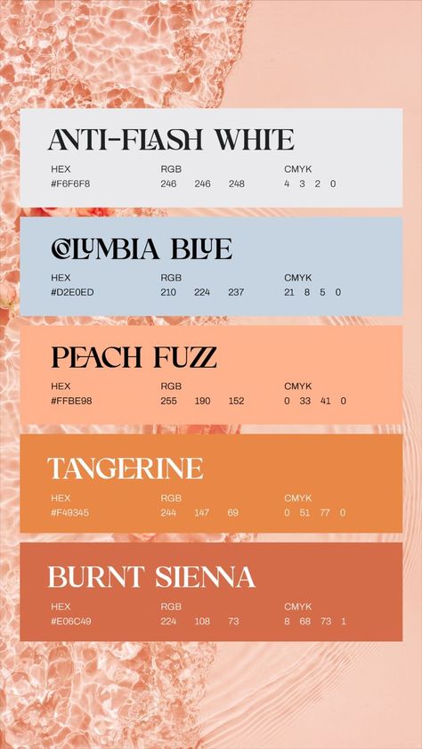 Peach fuzz contrasting color palette - PANTONE color of the year 2024 Aesthetic Pantone Color, Colors That Go With White, Complimenting Colors Colour Palettes, Color Pallets For Website, Peach Fuzz Paint Color, Unique Color Pallets, Sagittarius Color Palette, Peach Palette Color, Pastel Orange Color Palette