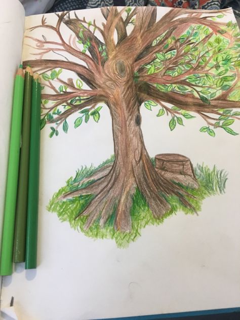 Colored Pencil Tree Drawing, Nature Color Pencil Drawing, Tree Drawing Colored Pencil, Color Pencil Tree, Tree Drawing With Color, Tree Color Pencil, Natural Scenery Drawing, Trees Drawing, Nature Sketch