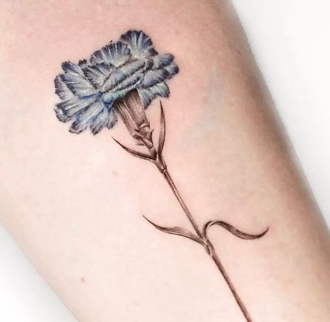 The Meanings Of Carnation Tattoos (Explained In Detail) Blue Carnation Tattoo, Carnation Tattoo Color, Carnation And Marigold Tattoo, Carnation Tattoos, Carnation Flower Meaning, Carnation Flower Tattoo, Honey Bee Tattoo, Carnation Tattoo, Blue Carnations