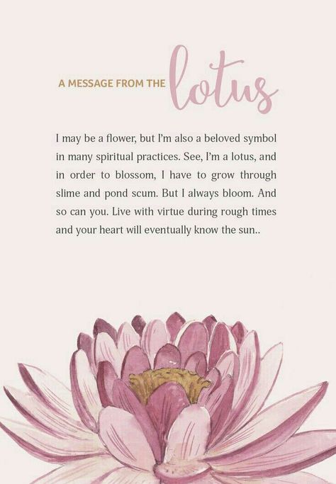 Lotus Meaning, Lotus Buddha, Flower Meanings, Symbols And Meanings, Language Of Flowers, Meaning Of Life, Handmade With Love, Lotus Flower, Beautiful Words