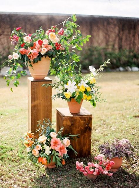 rustic potted plants wedding decor / http://www.himisspuff.com/potted-plants-wedding-decor-ideas/9/ Diy Potted Plants, Red Christmas Lights, Potted Plants Patio, Plant Centerpieces, Type Of Flowers, Mexican Garden, Tattoo Plant, Plant Room Ideas, Plant Pot Diy