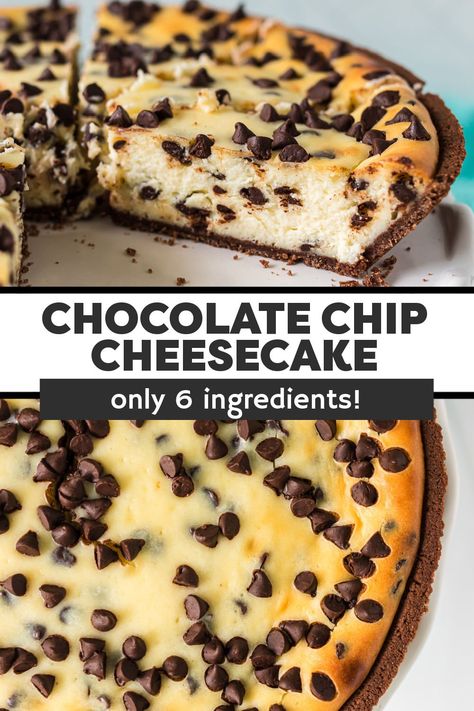 Easy Chocolate Chip Cheesecake, Easy Chocolate Cheesecake, Chocolate Pie Crust, Chocolate Cheesecake Recipes, Chocolate Chip Cheesecake, Chocolate Crust, Homemade Cheesecake, Gluten Free Chocolate Chip, Chocolate Pie