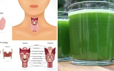 Exceedingly Original Green Juice Recipes - Juicing for Health Nutrition Food Recipes, Best Green Juice, Chronic Fatigue Remedies, Stop Overeating, Graves Disease, Nutrition Food, Green Juice Recipes, Thyroid Gland, Juicing For Health