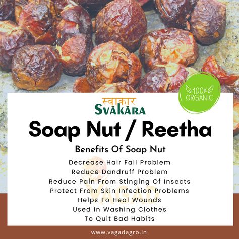 Benefits oF Soap Nut Nut Benefits, Quit Bad Habits, Hair Fall Problem, Scalp Problems, Make Soap, Soap Nuts, Organic Foods, For Skin Care, Natural Cleaning