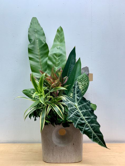 Foliage arrangement Foliage Arrangements Leaves, Foliage Arrangements, Contemporary Flower Arrangements, Modern Floral Arrangements, Tropical Floral Arrangements, Tropical Flower Arrangements, Altar Flowers, Tropical Flower Plants, Large Flower Arrangements