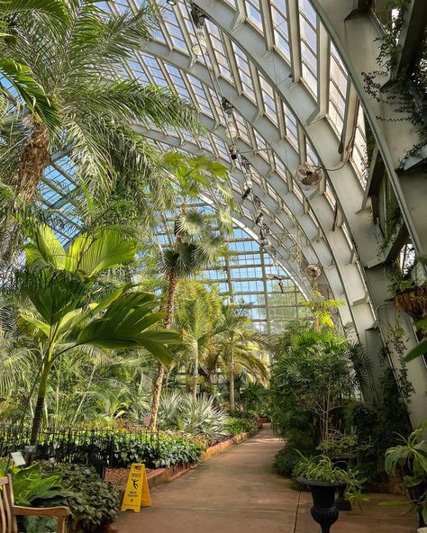 garfield park conservatory :) Garfield Park Conservatory, New Homes, Plants