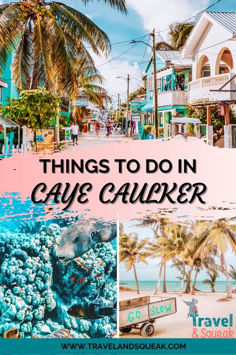 Belize Caye Caulker, 2023 Plans, Belize Travel Guide, Swim With Sharks, Caye Caulker Belize, Belize Barrier Reef, Aruba Travel, Belize Vacations, Belize Resorts