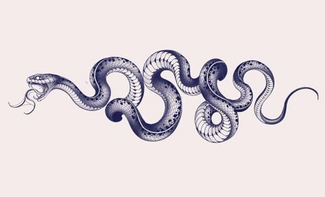 Snake Art Design, Snakes Tattoo, Snake Sketch, Serpent Tattoo, Snake Drawing, Long Snake, Snake Tattoo Design, Snake Art, Tattoo Project