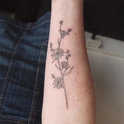 Chicory on forearm - Tattoo People Toronto - Jess Chen Chicory Flower Tattoo, Chicory Tattoo, Mom Tattoo Quotes, Chicory Flower, Piercing Inspiration, Tattoo People, Tattoo Portfolio, Mountain Tattoo, Mom Tattoos