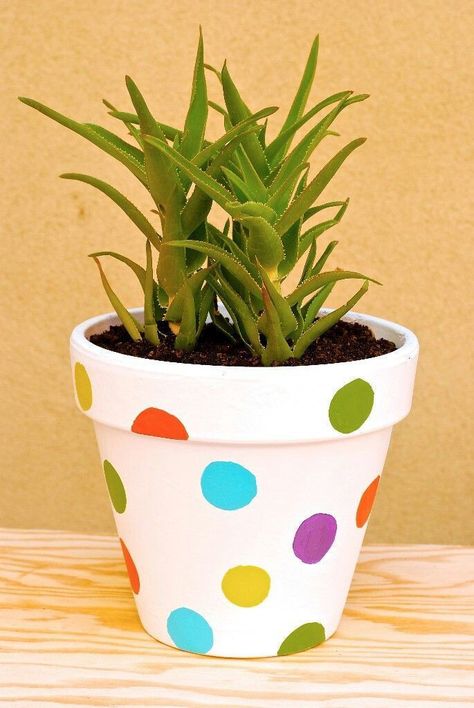 Easy and unique painting ideas for flower pots
Tools and materials needed
Tips for long-lasting designs
Don't forget to like, comment, and subscribe for more DIY art and gardening ideas!

#FlowerPotPainting #DIYProjects #GardenDecor #CreativePainting

Tags
#FlowerPotDesigns #PaintingIdeas #DIYHomeDecor #Crafting #ArtAndCraft #DIYArtProjects #HandmadeDecor #GardenInspiration #PotPaintingTutorial #PlantLovers Ideas For Flower Pots, Flower Pots Painting, Paint Business, Pots Painting, Paint Garden Pots, Knitted Crafts, Custom Pottery, Terra Cotta Pot Crafts Diy, Cactus Clipart