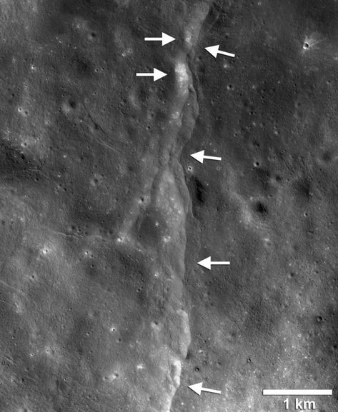 Shrinking moon might be generating moonquakes | Space | EarthSky Earth Gravity, Back To The Moon, Moon Surface, Nasa Apollo, Apollo Missions, Archaeology News, Moon Missions, Air And Space Museum, Apollo 11