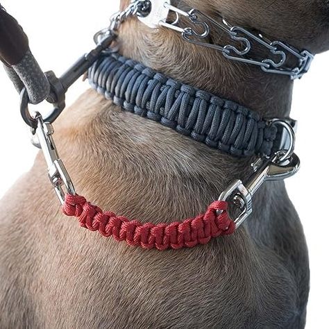 Amazon.com: Dog Collar Safety Leash for Prong Collar Back Up Strap Clip (Red) : Handmade Products Tactical Dog Gear, Prong Collar, Dog Things, Comfortable Life, Collar Choker, Dog Gear, Popular Products, Silver Coat, Choker Collar