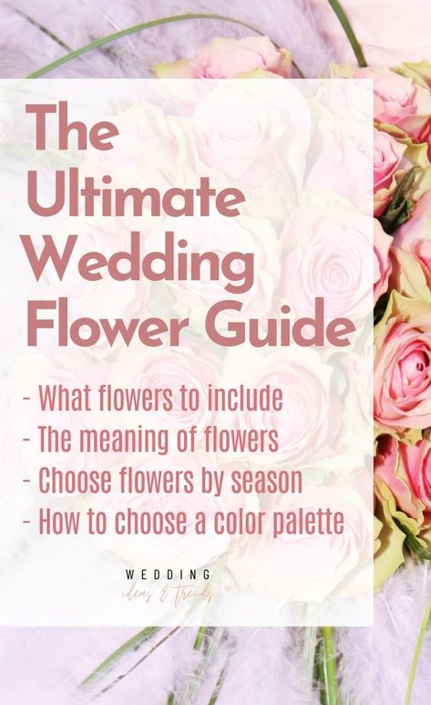 The Ultimate Wedding Flower Guide on how to choose flowers for your wedding including top trendy wedding flower tips on what flowers to include at the wedding, how to choose flowers based on their meaning, the best seasonal flowers, and ideas and inspirations for the best color palettes for the big day. Learn why it's important to consider budget and scope when choosing your wedding flowers, and discover other tips and advice on how to make your big day perfect. Wedding Flower List, July Wedding Flowers In Season, How Many Flowers Do I Need For Wedding, Wedding Flowers List, Types Of Flowers For Wedding, Types Of Wedding Flowers, Best Color Palettes, Wedding Flower Types, Real Wedding Flowers