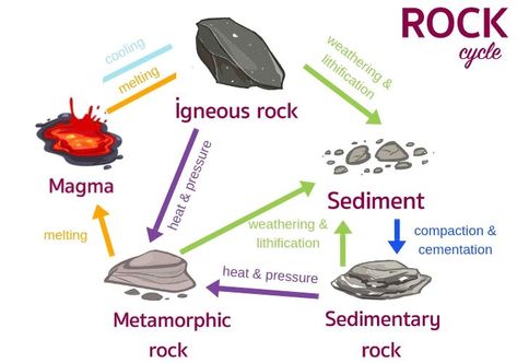 Middle School Ideas, Worksheet Grade 2, Rock Cycle Project, Rock Cycle Activity, Basic Geography, Earth Science Lessons, Science Classroom Decorations, Rock Cycle, Geography Lessons